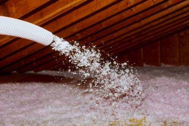 Best Insulation for Specific Applications in Las Palmas Ii, TX