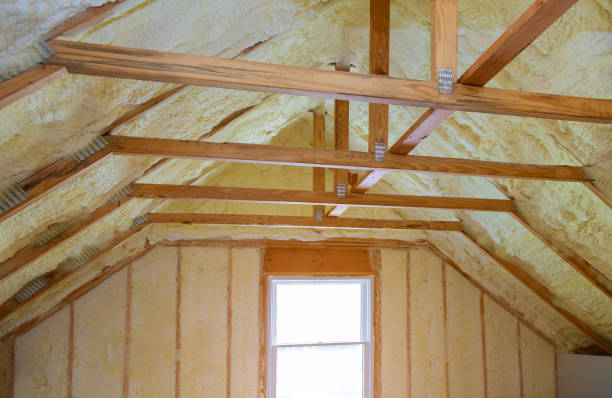 Best Cellulose Insulation in Las Palmas Ii, TX