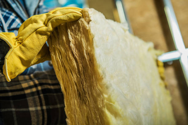 Best Blown-in Insulation in Las Palmas Ii, TX